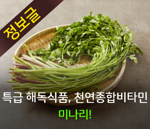 신진종합관리 이미지