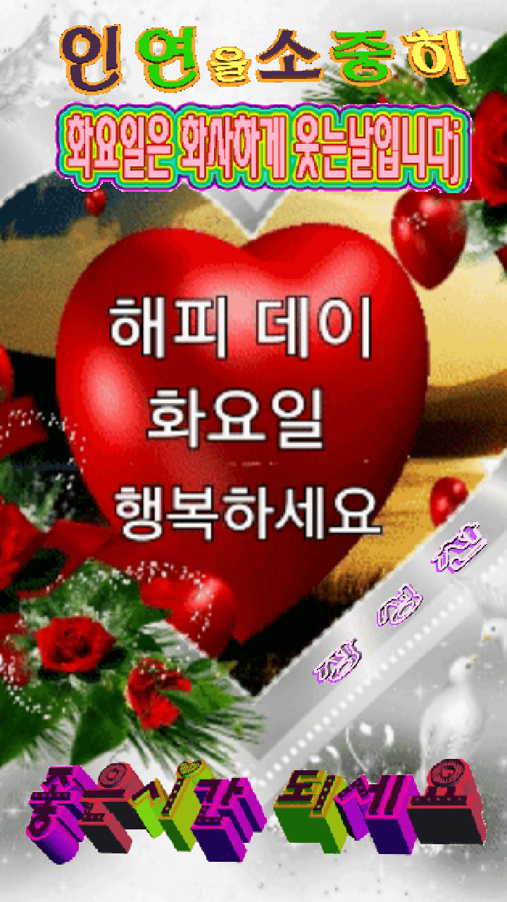 11월 14일 화요일 아침 출석 - ………해월 ˚ 사랑 - 좋은글과차한잔의여유