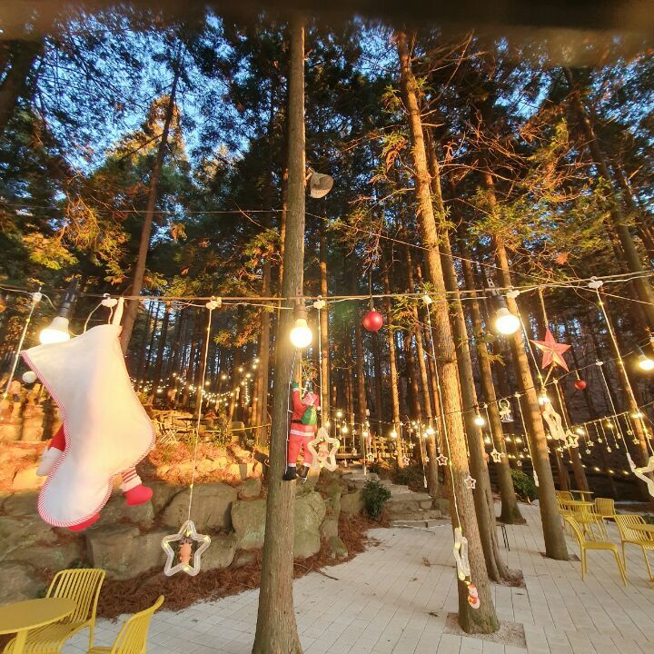 감동 실화 - 어느 노부부의 외식(배경.허브랑 야생화 -- 신상 아이리카페) - ◀▽…자유게시판 …◀▽ - 좋은글과차한잔의여유 감동 실화 - 어느... 