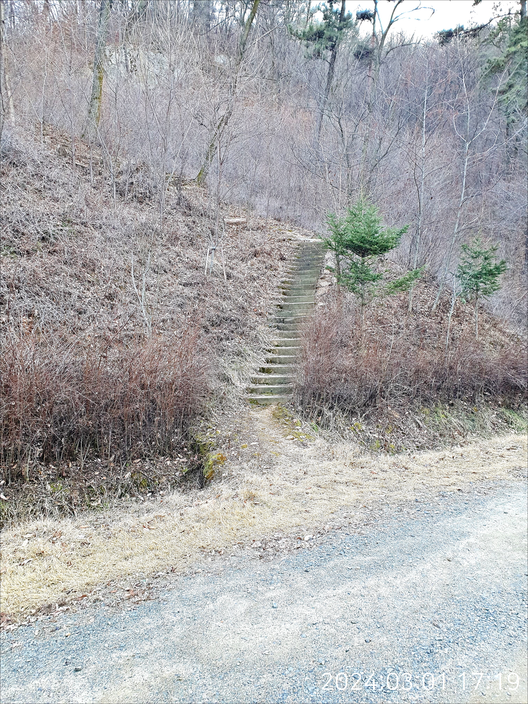 오후의산책 이미지