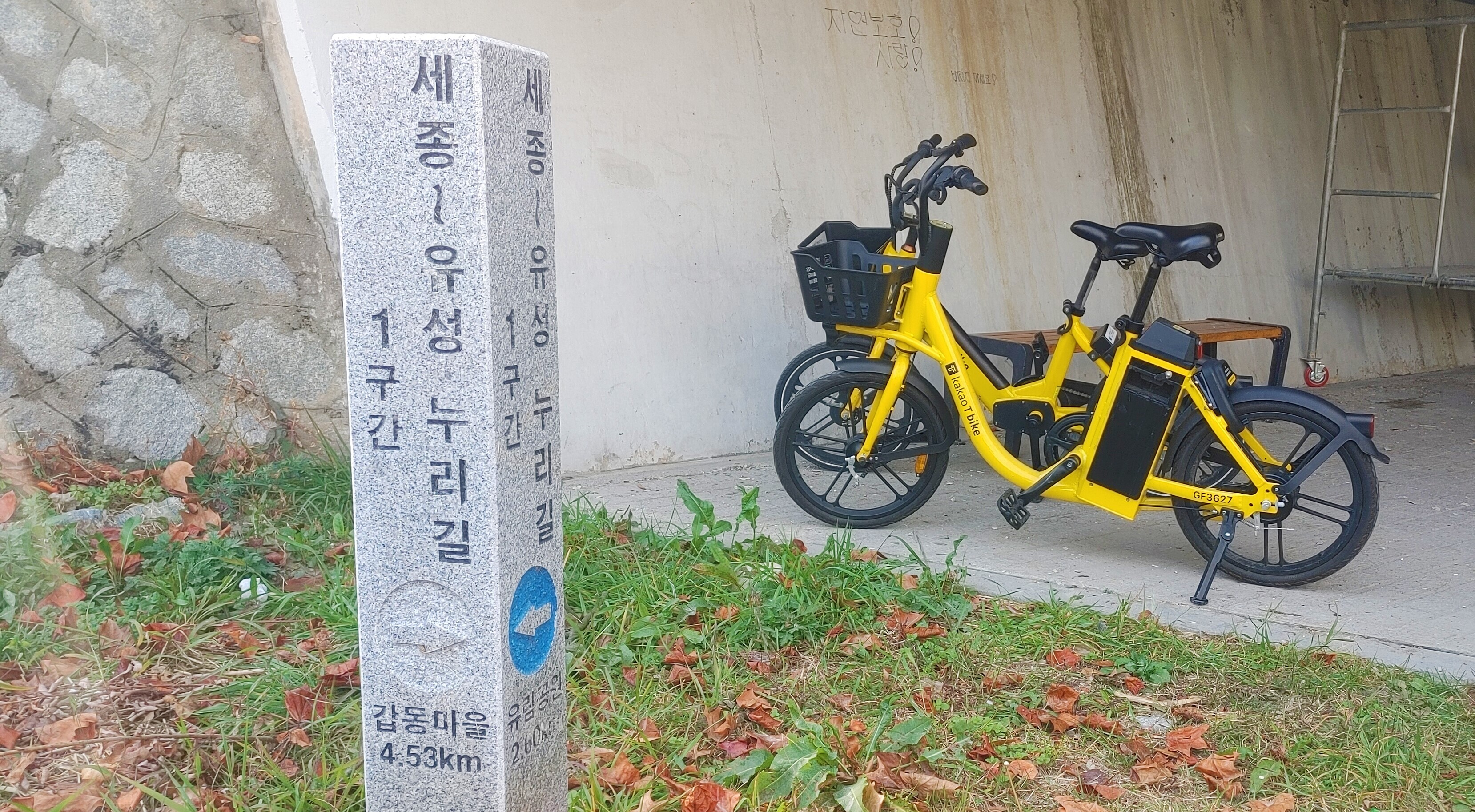 풀향기 이미지