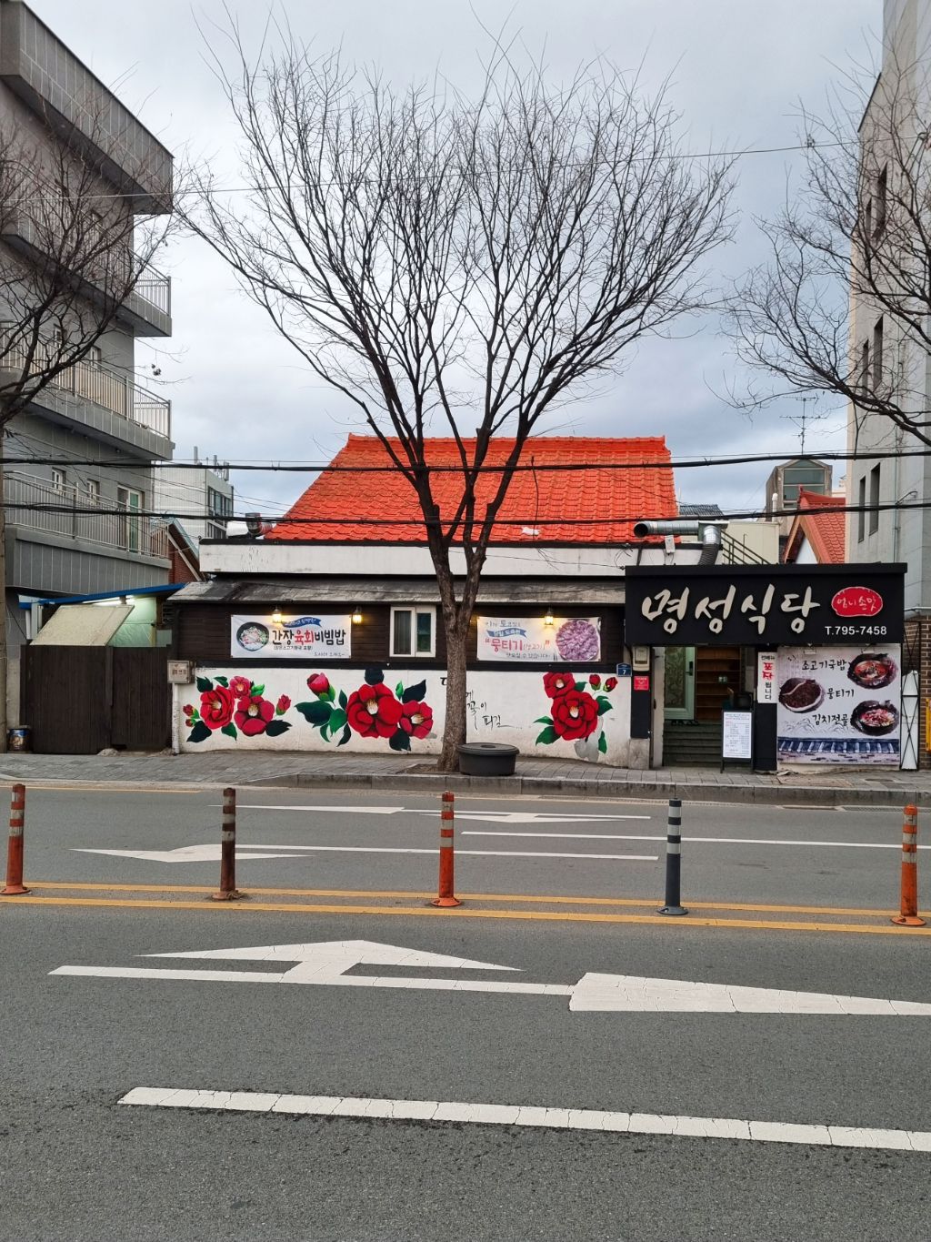 고산생고기 이미지