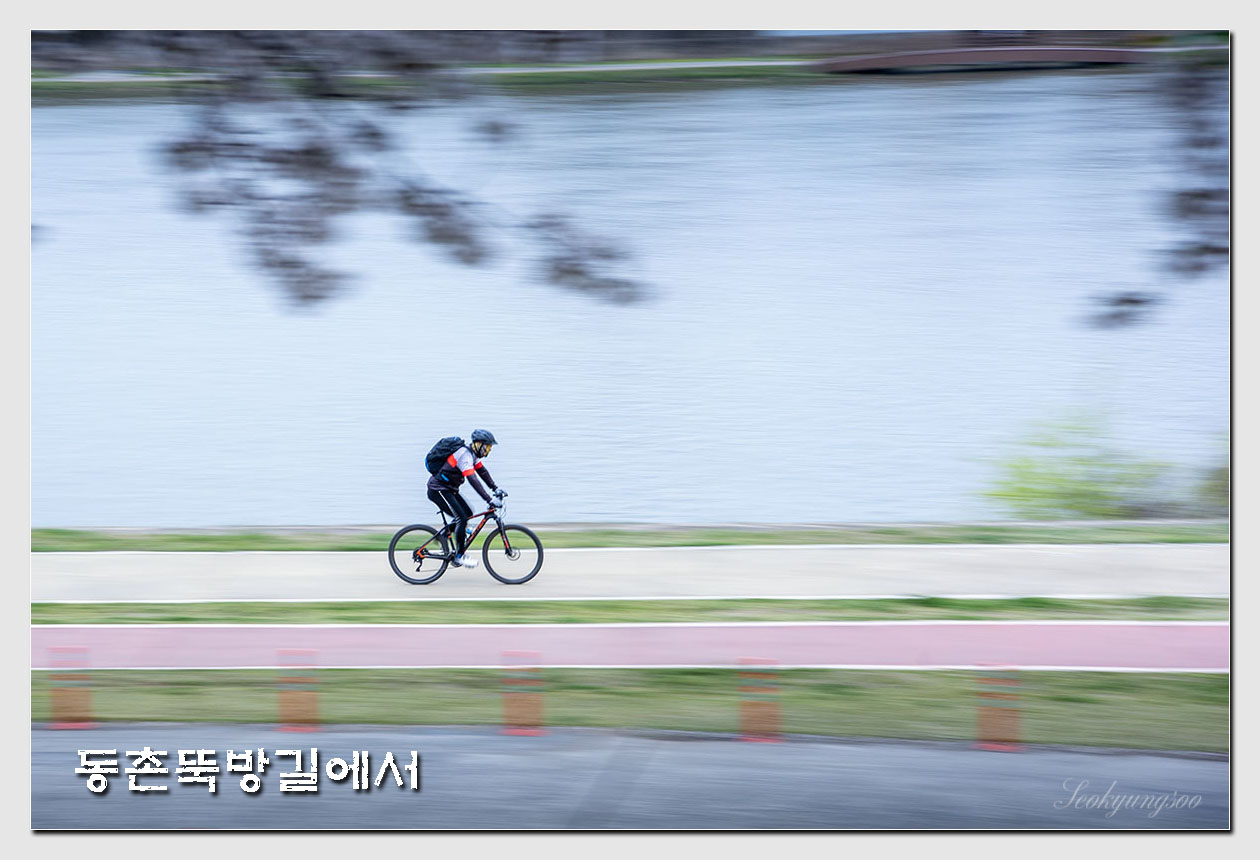 봄날,꽃 이미지