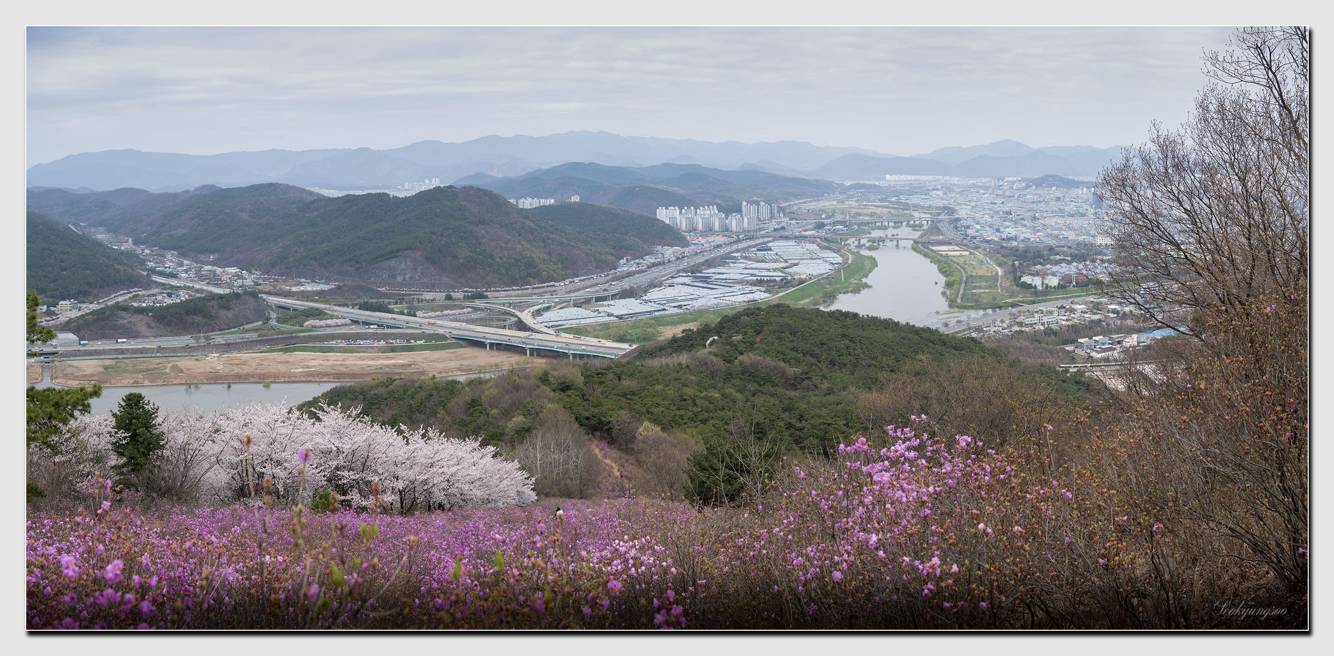 봄날,꽃 이미지