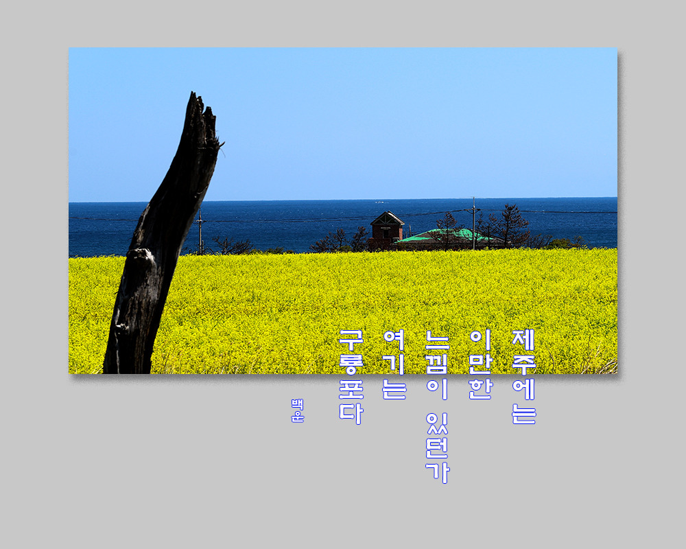 느낌 이미지