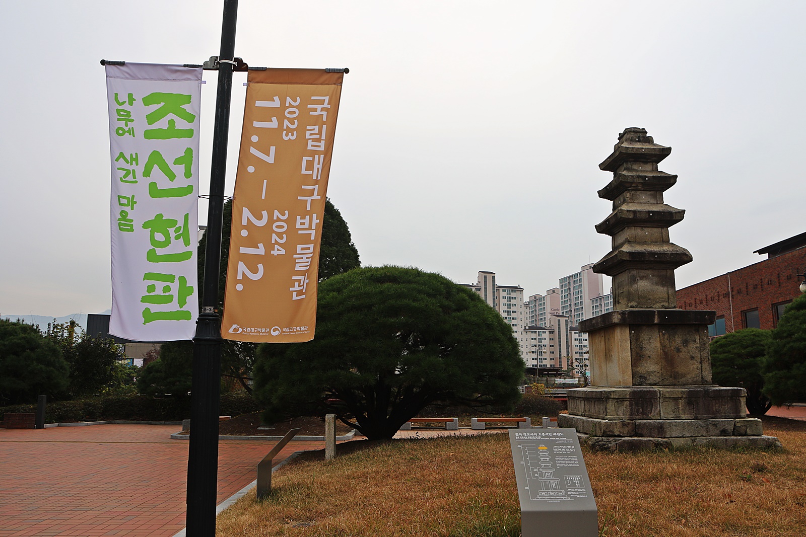 국립대구박물관 이미지