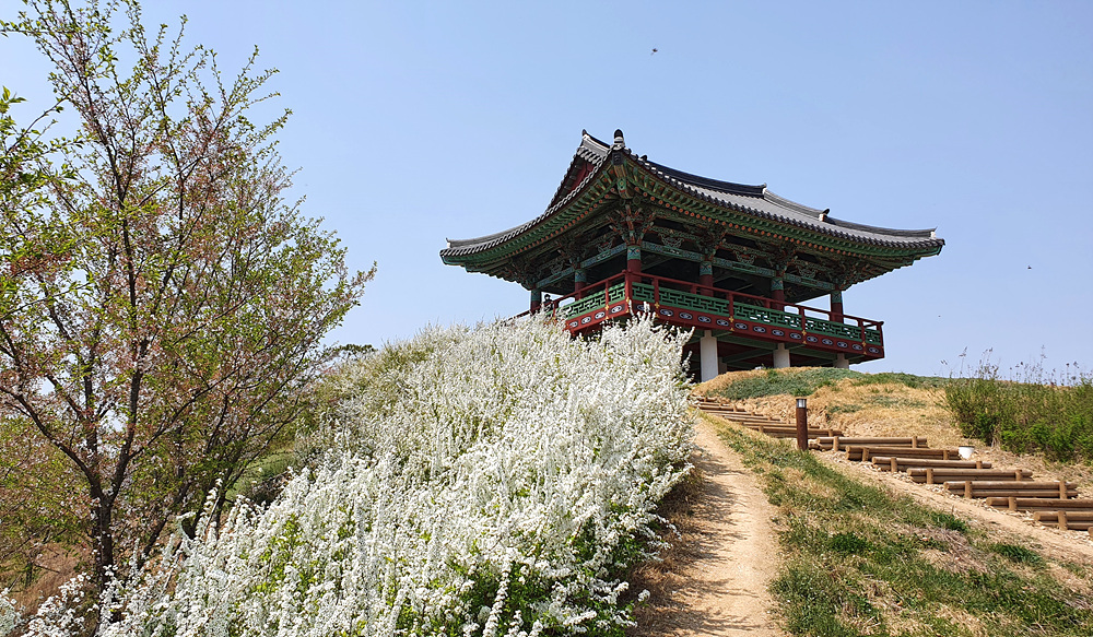 관호 이미지