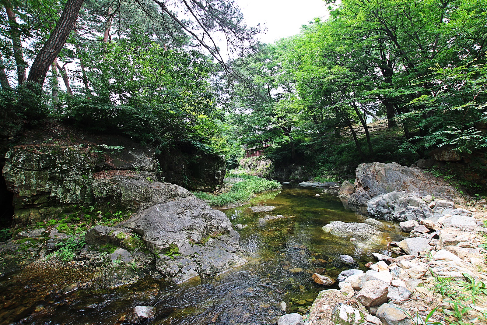 덕연 이미지