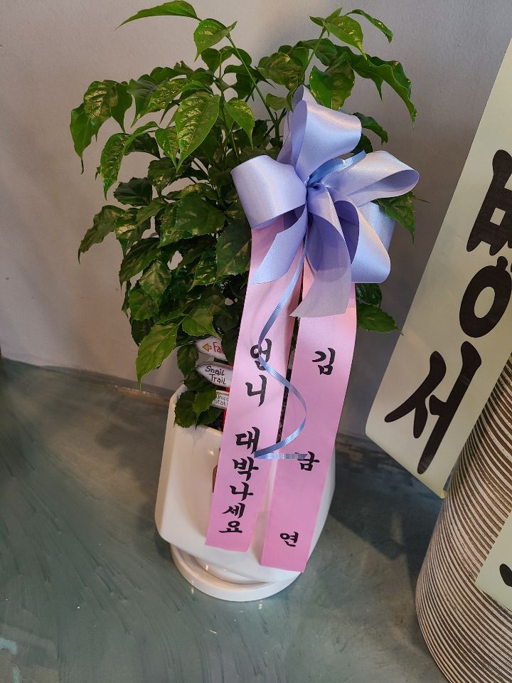 메이블룸 이미지