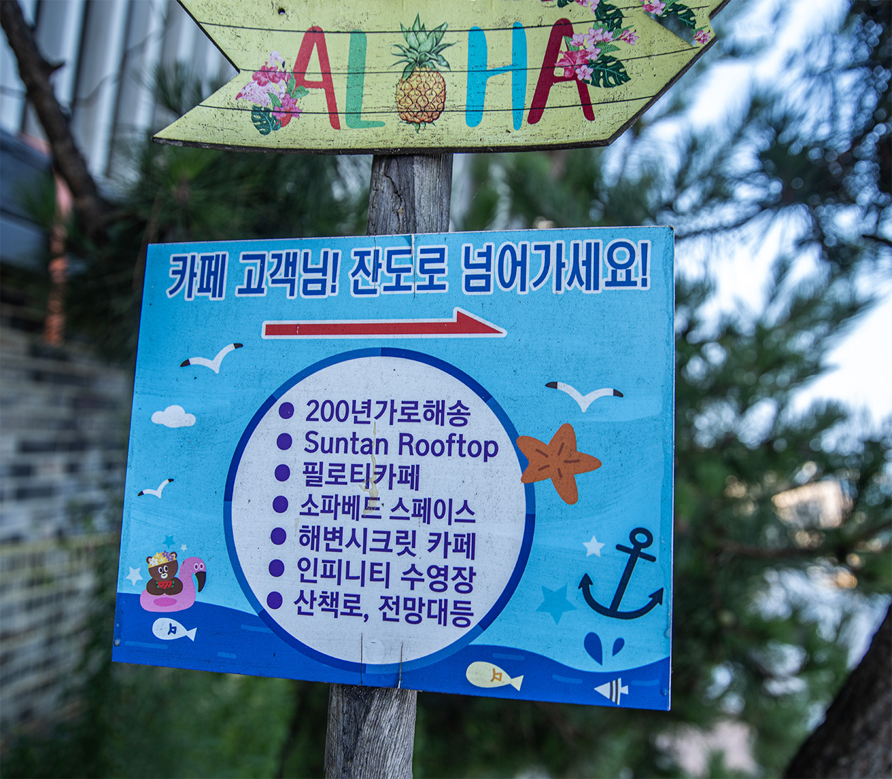 히든카페 이미지