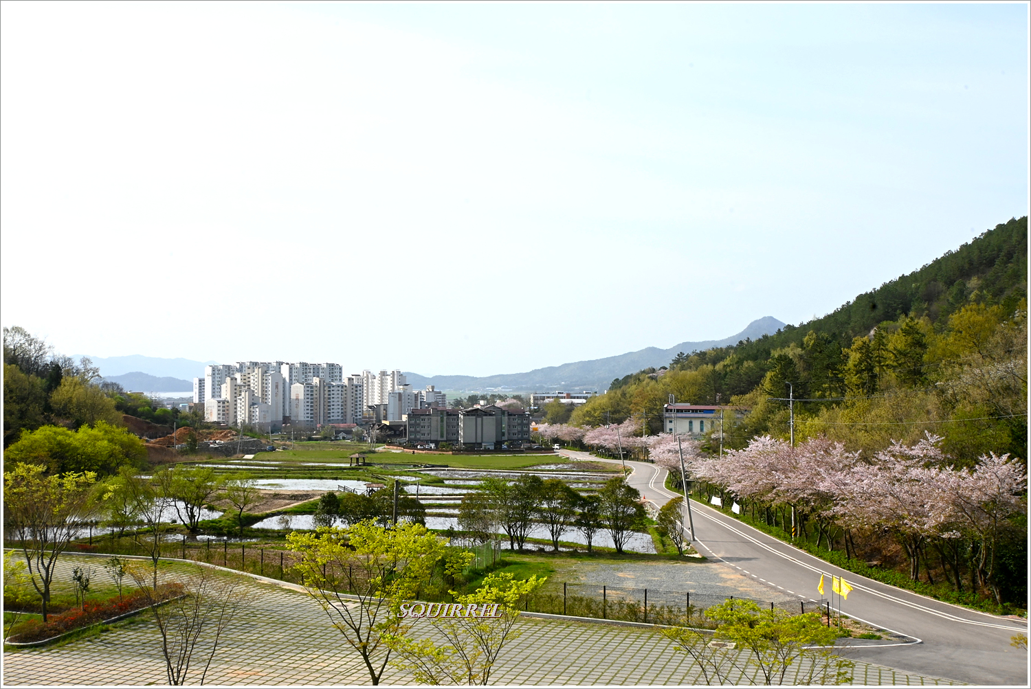 고성지 이미지