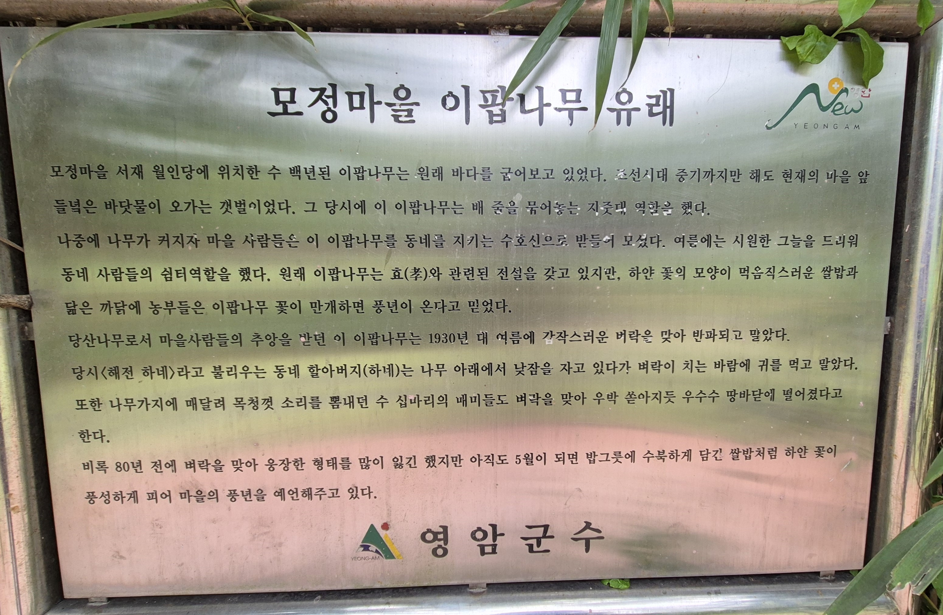 모정 이미지