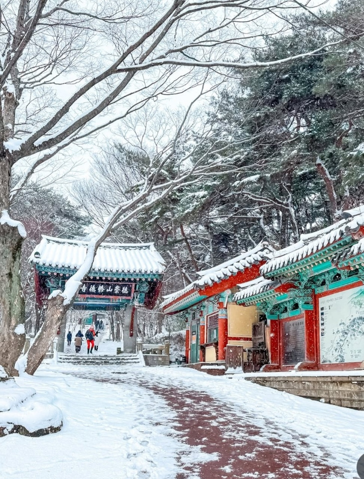 차의온도 이미지