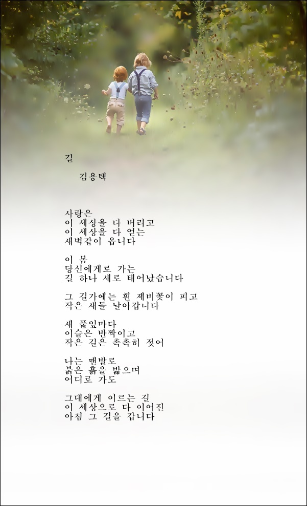 길 - ▩ 좋은 글/감동 글 - 살가운 인연을 찾는 사람들 길