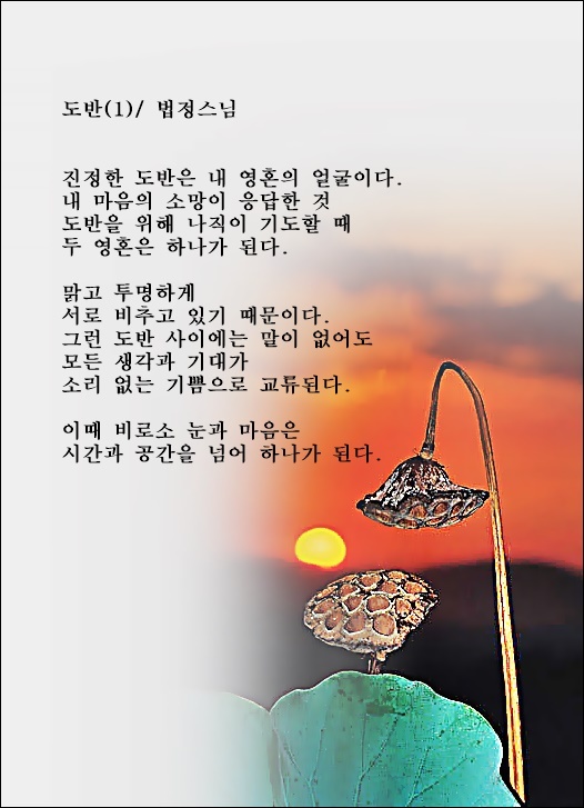 도반 이미지