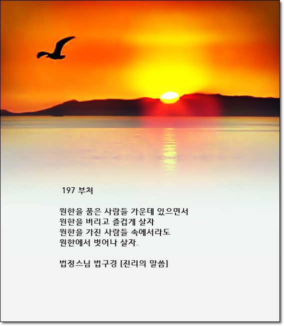 진리 이미지