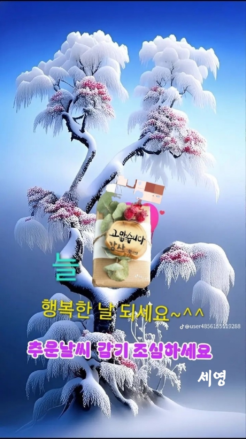 다복 이미지