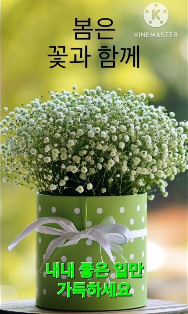 사월 이미지
