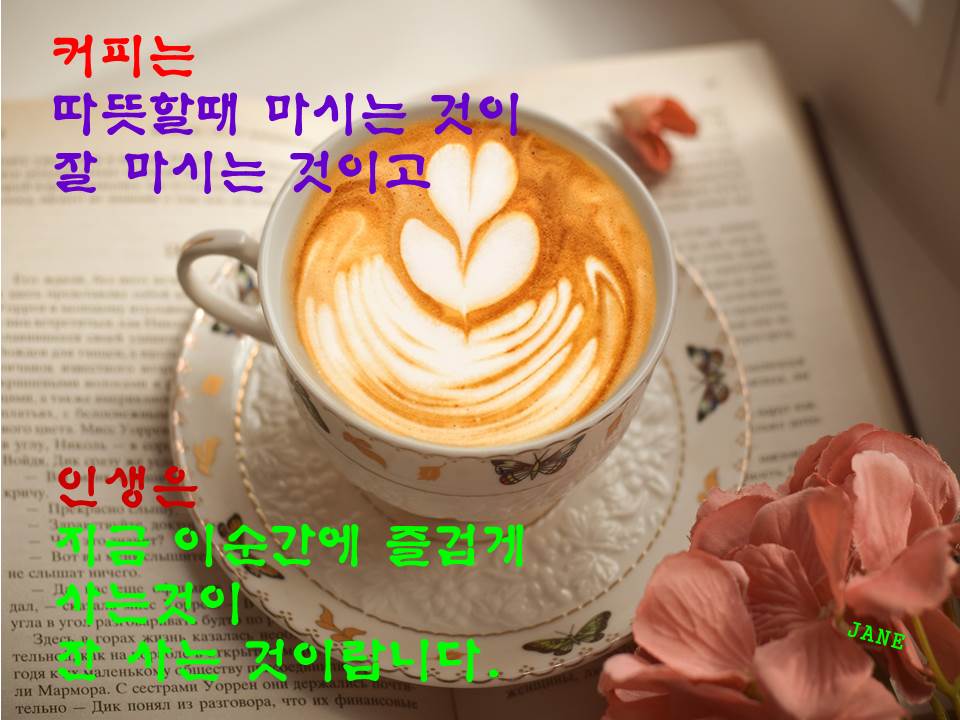 엘가커피 이미지