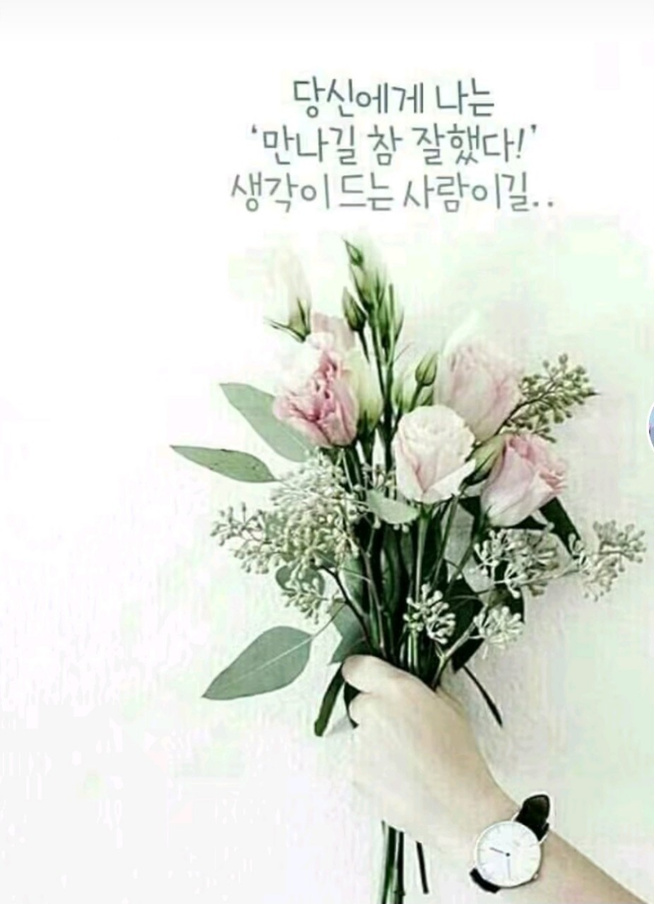 꽃피는하루 이미지