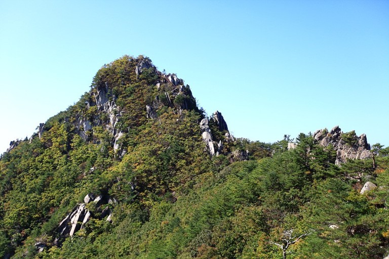 남산 이미지