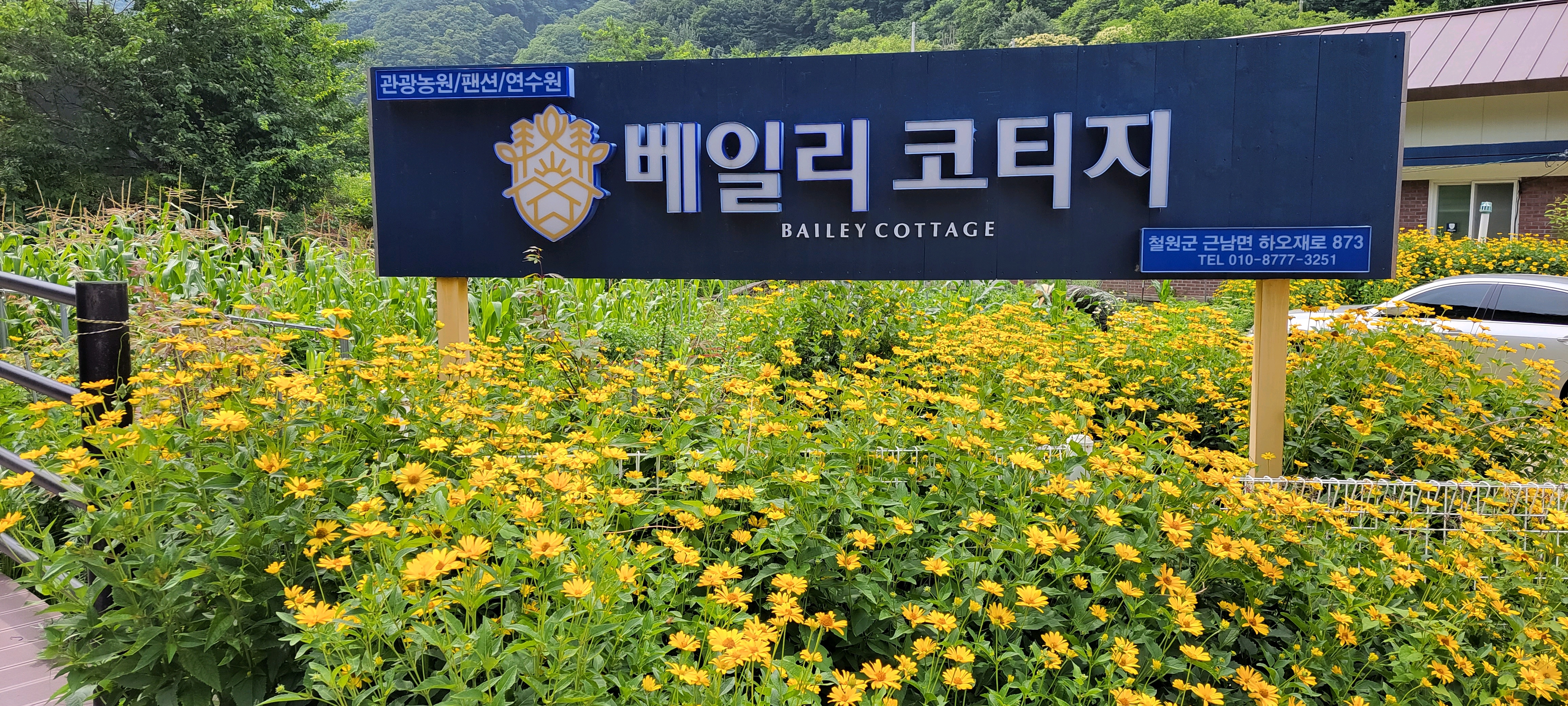베일리코티지 이미지