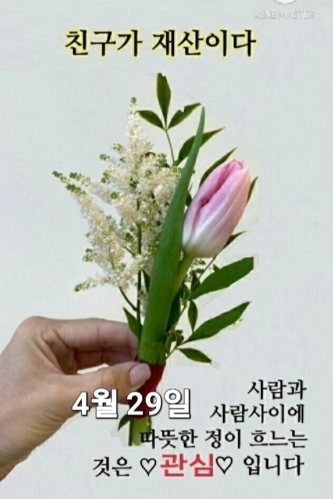 화요일 이미지
