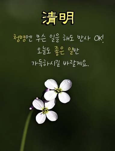 청명 이미지