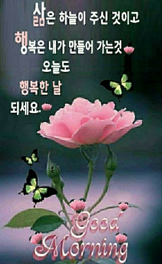 청명 이미지