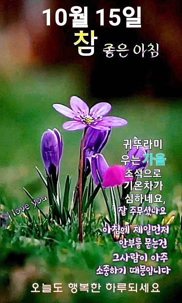 화요일 이미지