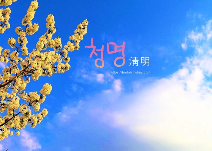청명 이미지