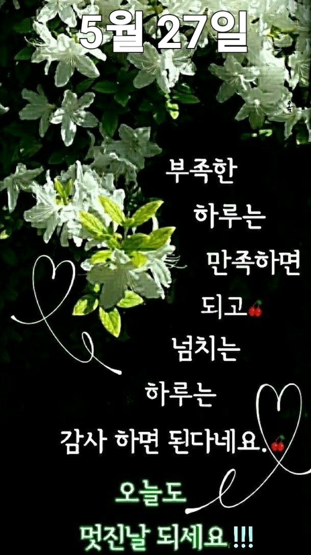 화요일 이미지