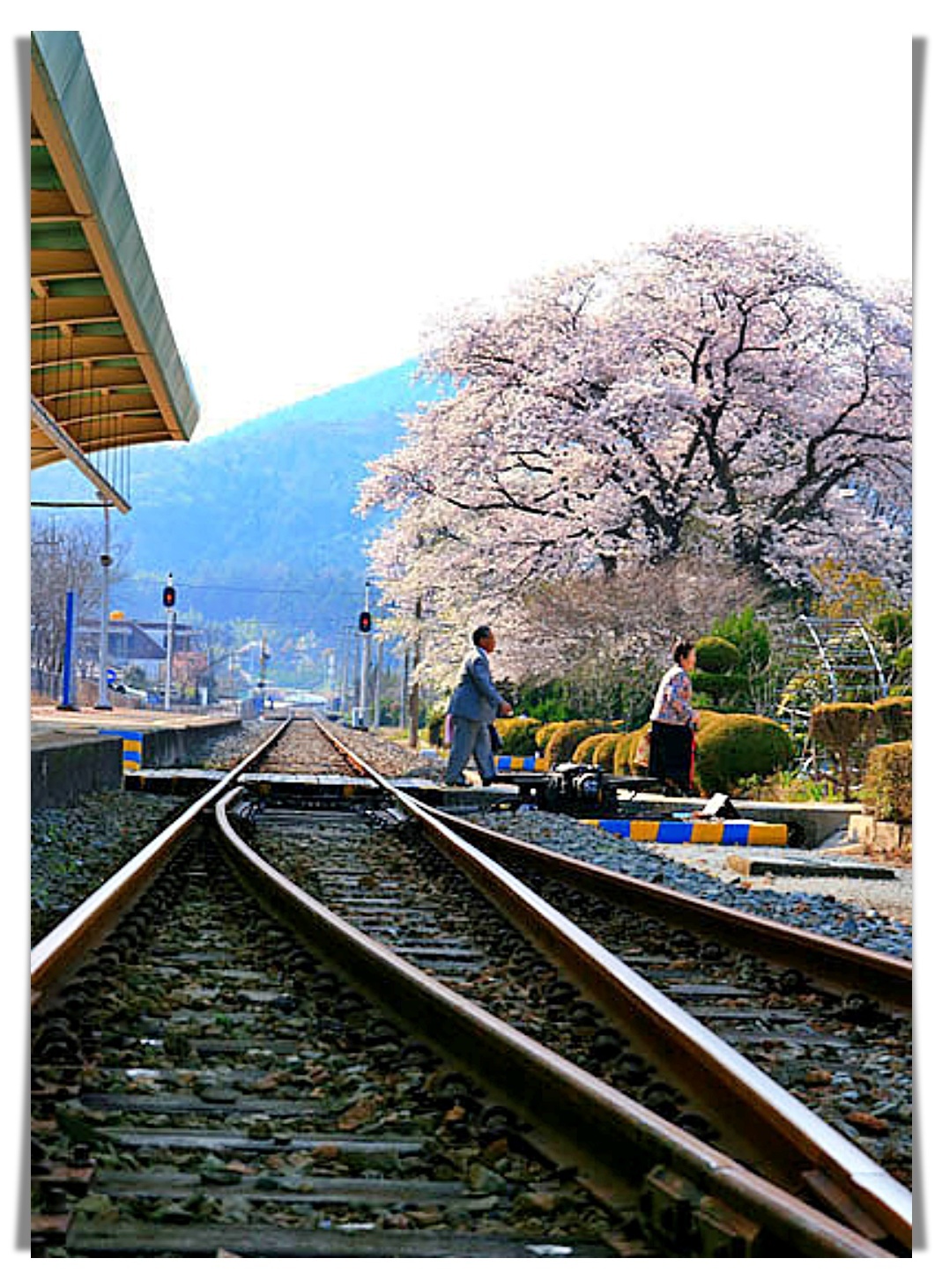 보성기업 주식회사 이미지