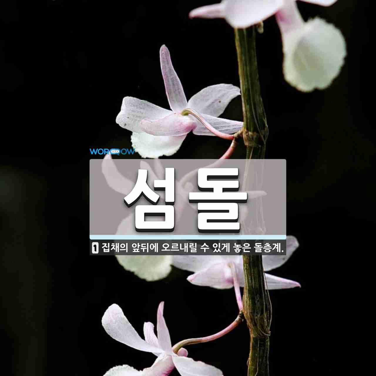 애가 이미지