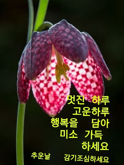 오복 이미지