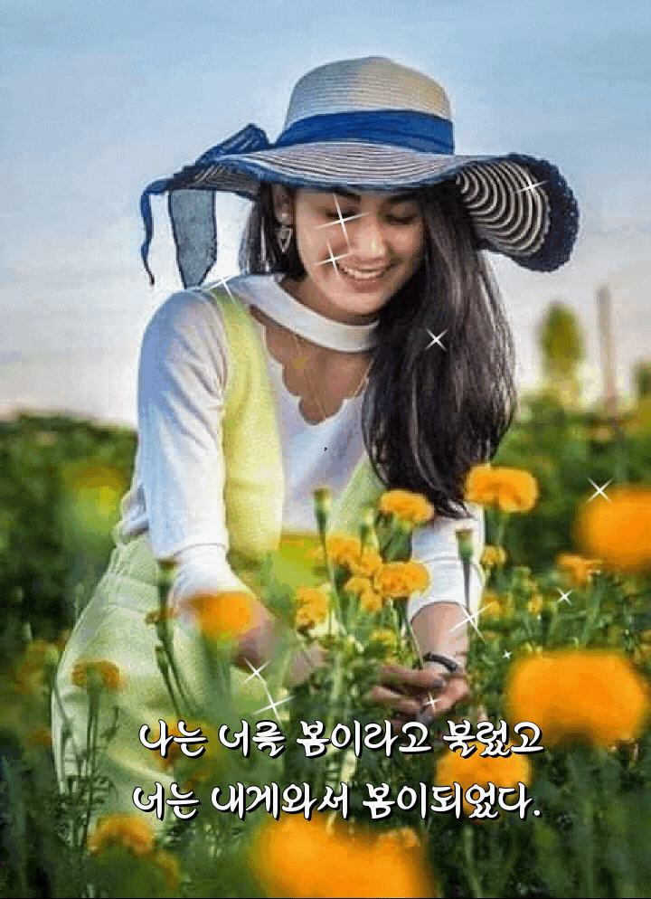 Daum 
