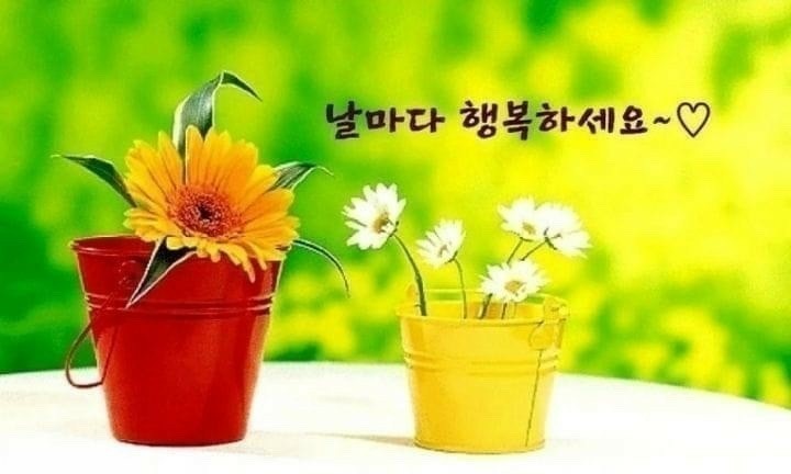 행복꽃 이미지