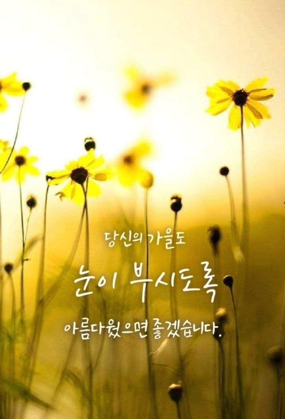 하루커피호프 이미지