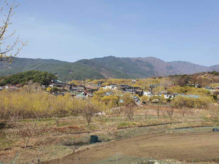 산닭집 이미지