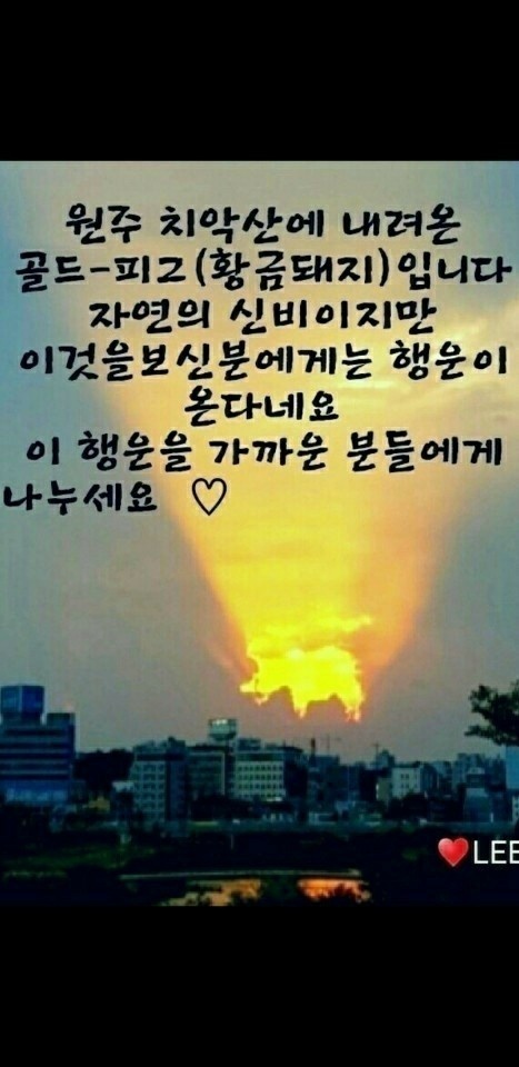 일화방 이미지