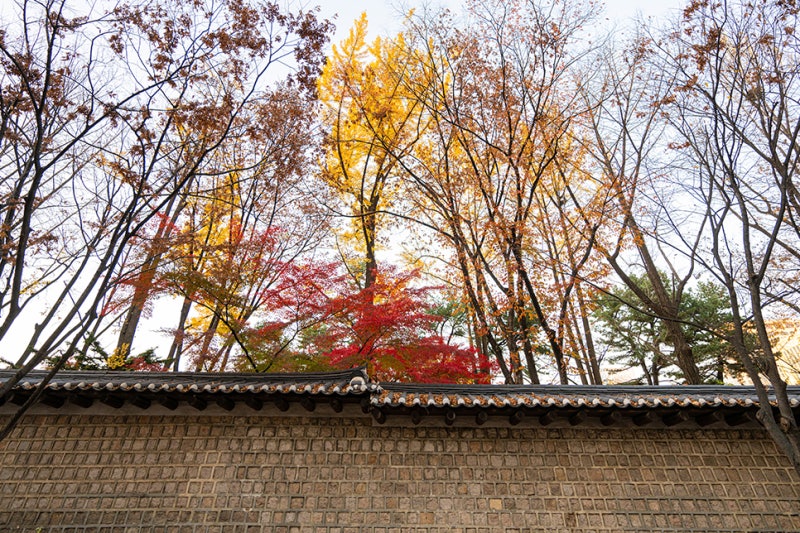 화요일의아침 이미지