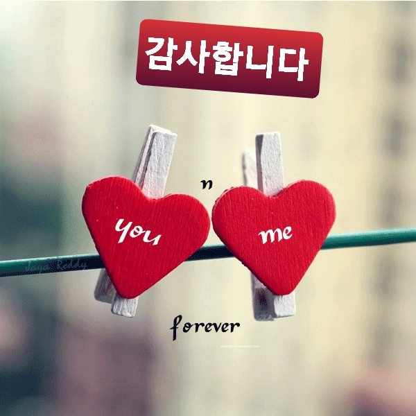 감사의 힘 이미지