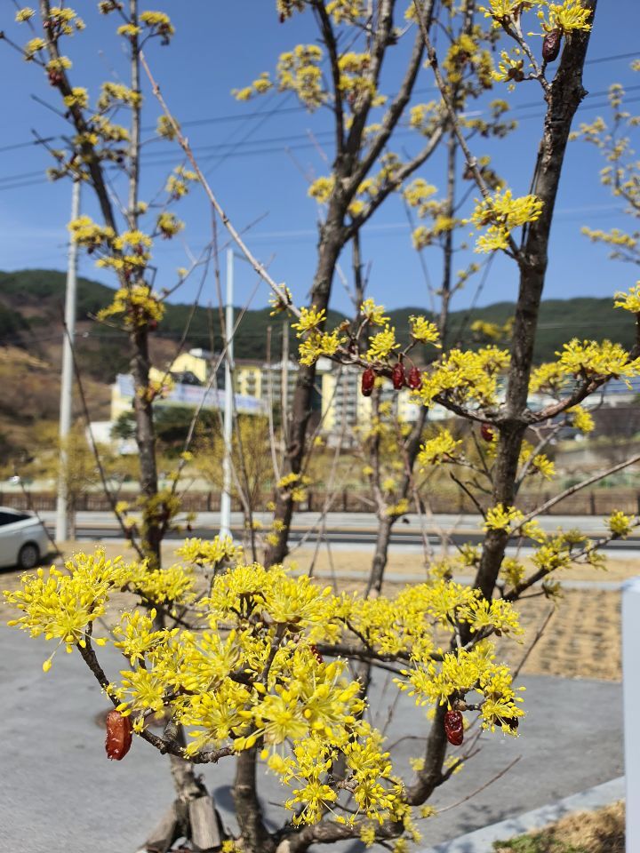 산닭집 이미지