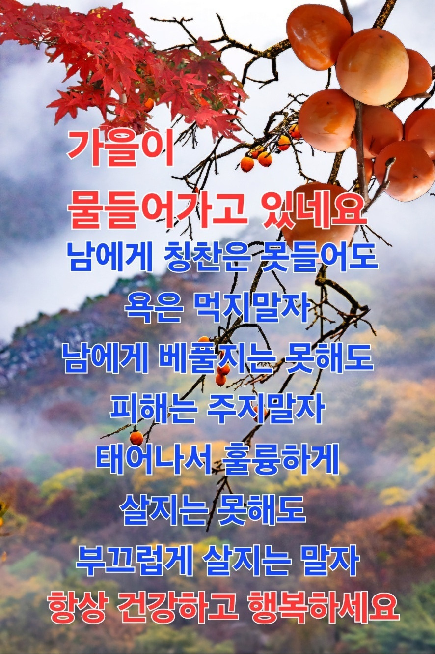 주는데로 이미지