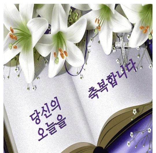 일화방 이미지