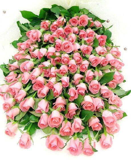글요 이미지