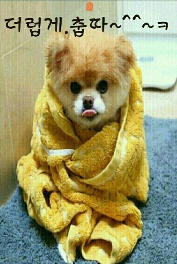 아하 이미지