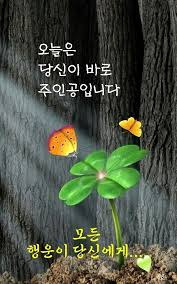 오늘;꽃 이미지