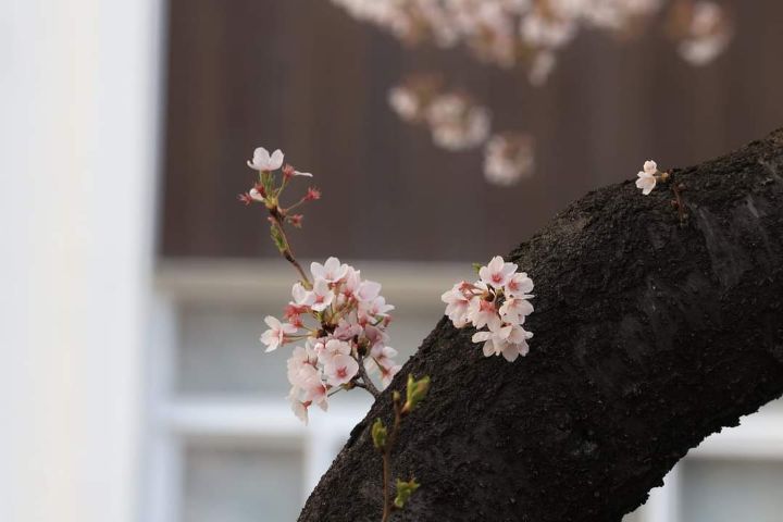 서로.화 이미지