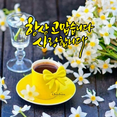 우잉 이미지